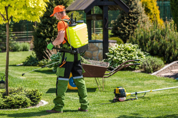 Lawn Pest Control in Waunakee, WI